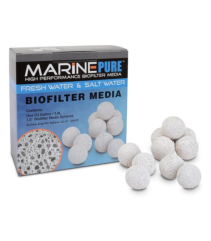 Marine Pure Media