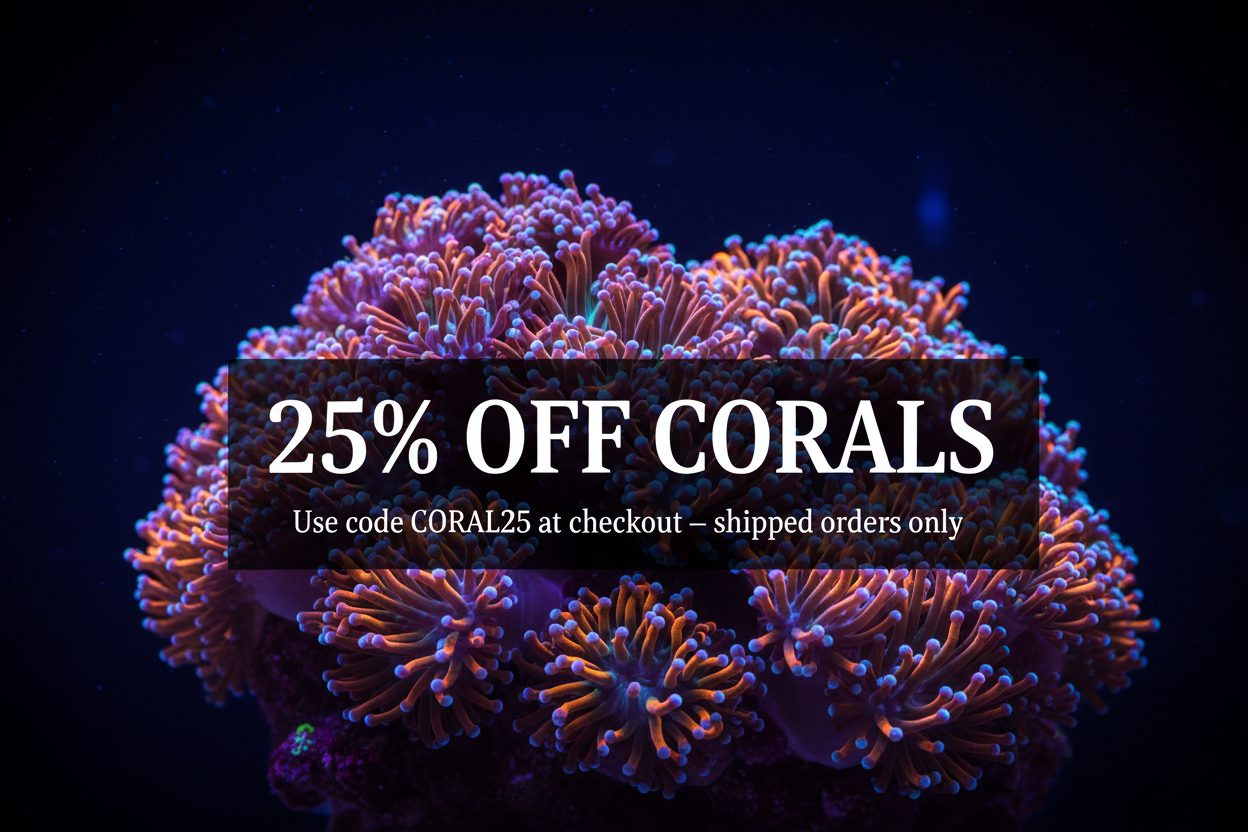 25% Off Corals Banner