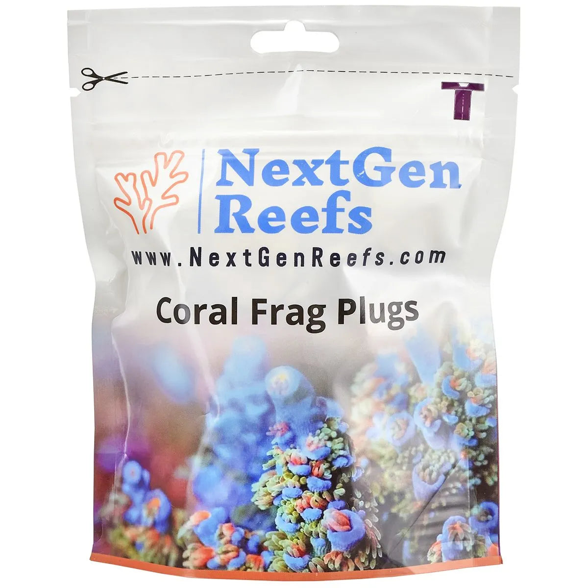 Oceans Wonders NextGen Reefs Coral Frag Plugs 1" ceramic coralline purple 25 pc