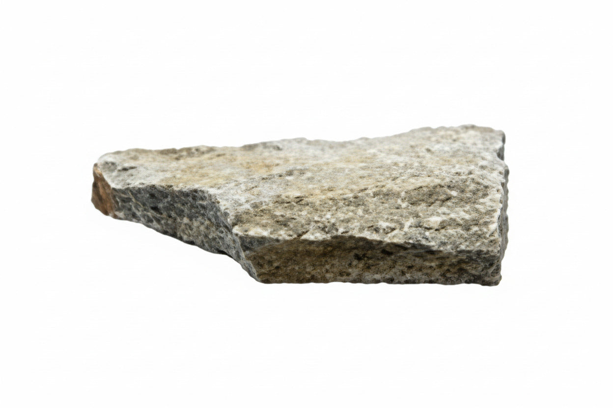 Blue Petrified Wood Slate Rock