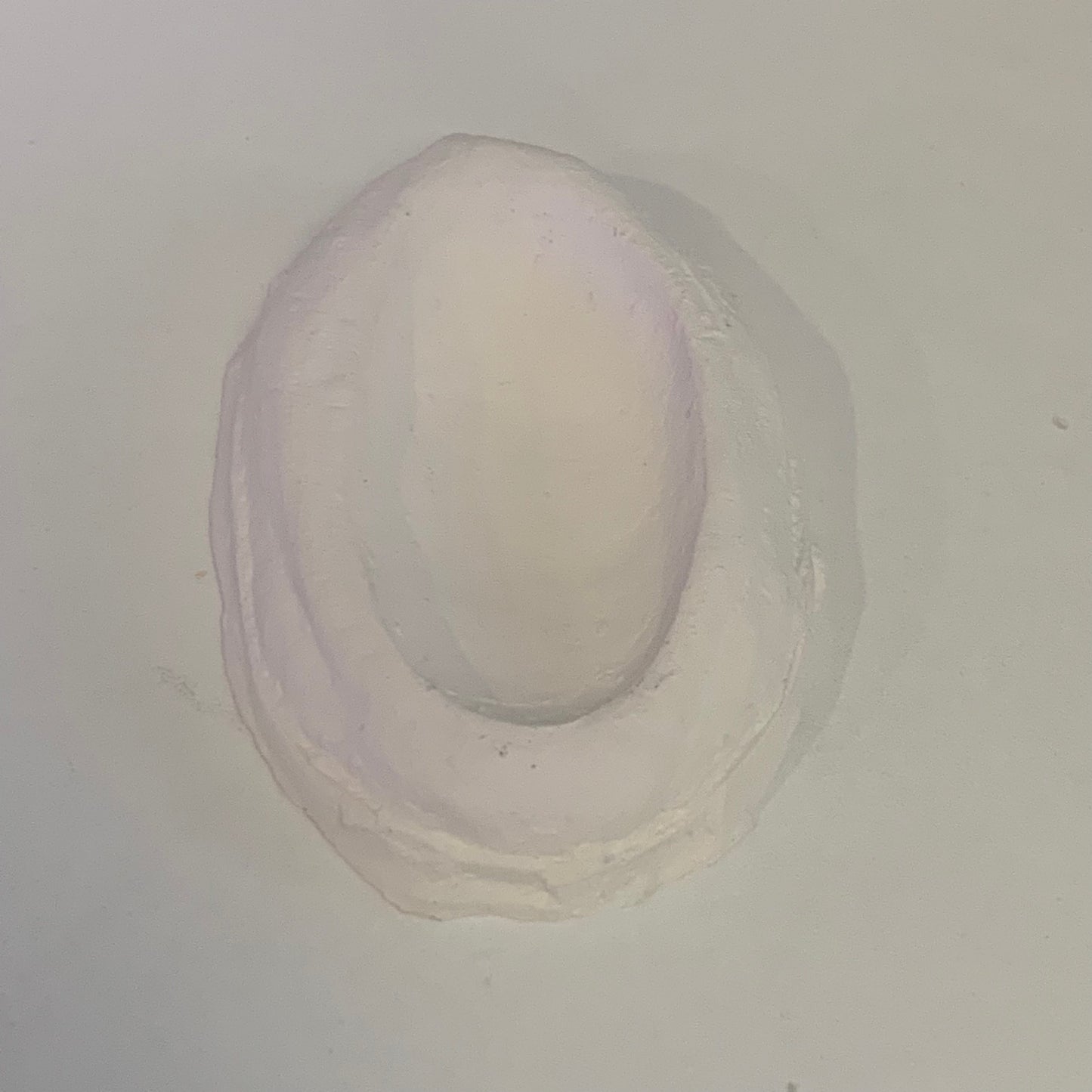Ceramic Clam Holder