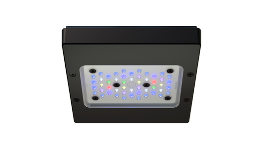 Ecotech Marine Radion G6