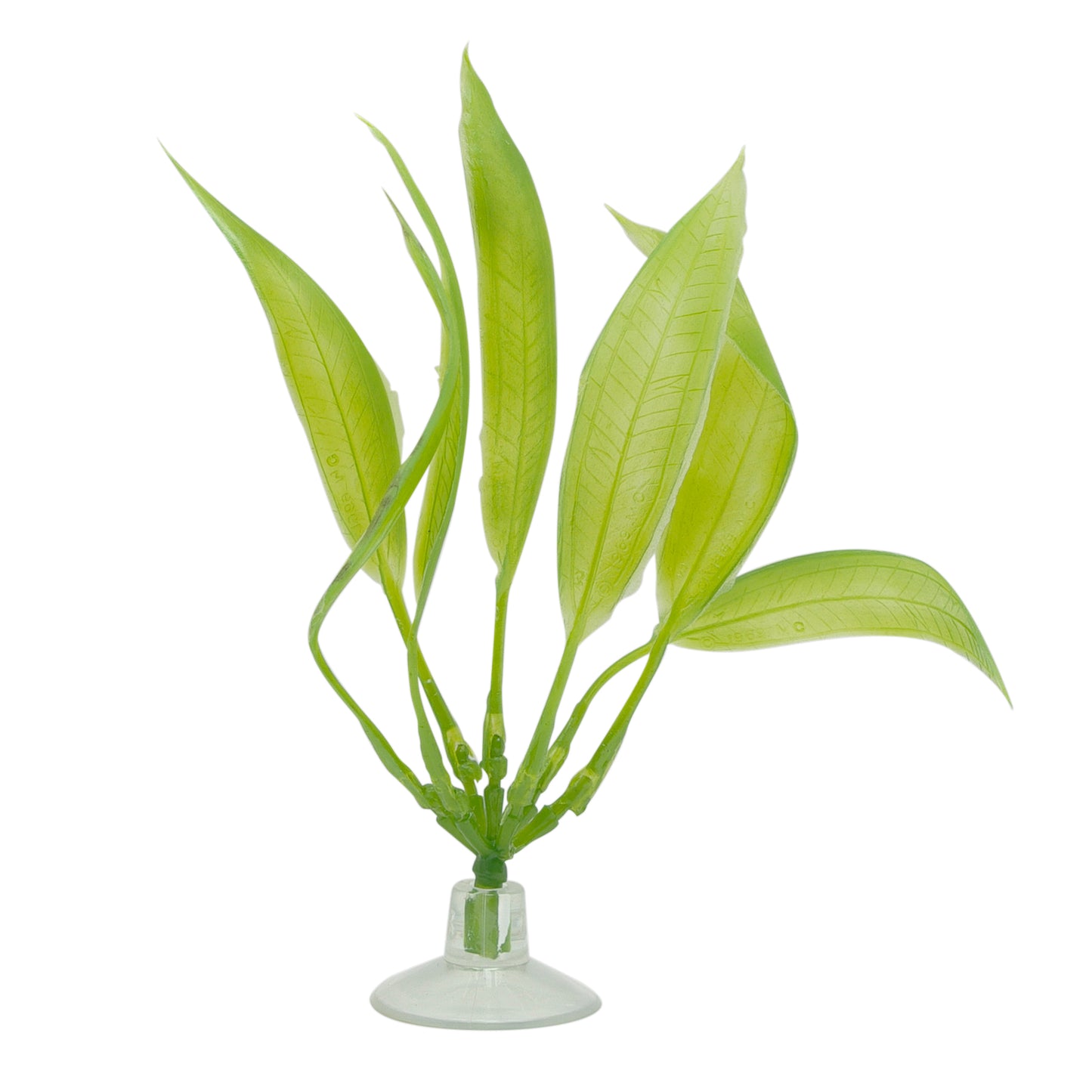 Marina Betta Kit Amazon Sword Plant na May Suction Cup - 12.7 cm (5in)