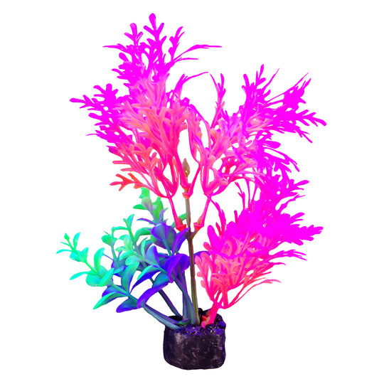 Marina iGlo Plant - 14 cm (5.5 in)