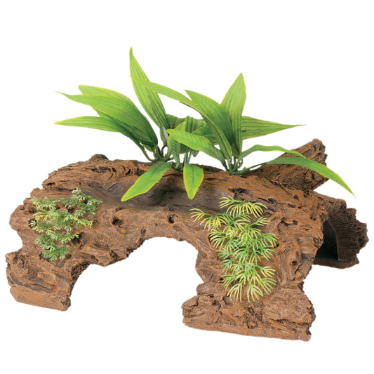 Marina Naturals Malaysian Decorative Driftwood with Plants