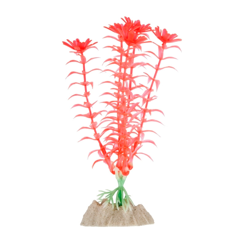 GloFish Plant Medium Orange