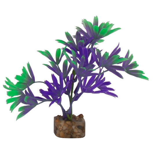 GloFish Plant Small Purple/Green