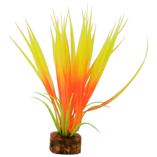 GloFish Plant Maliit na Kahel/Dilaw