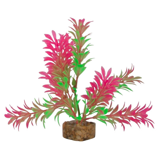 GloFish Plant Small Green/Pink