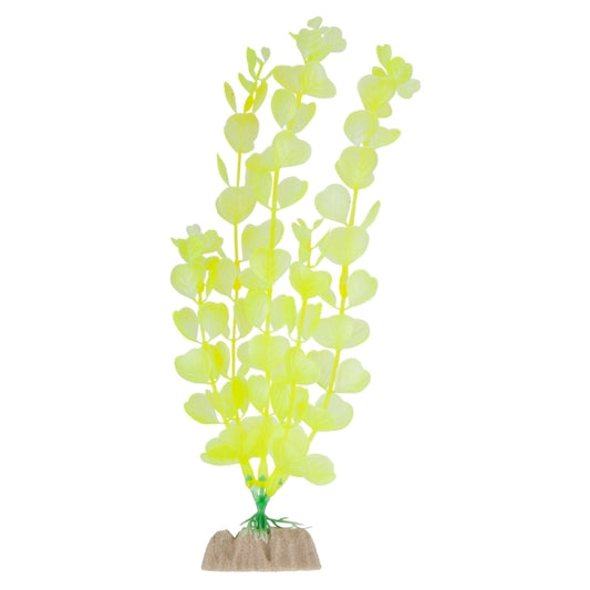 GloFish Plant Large Yellow