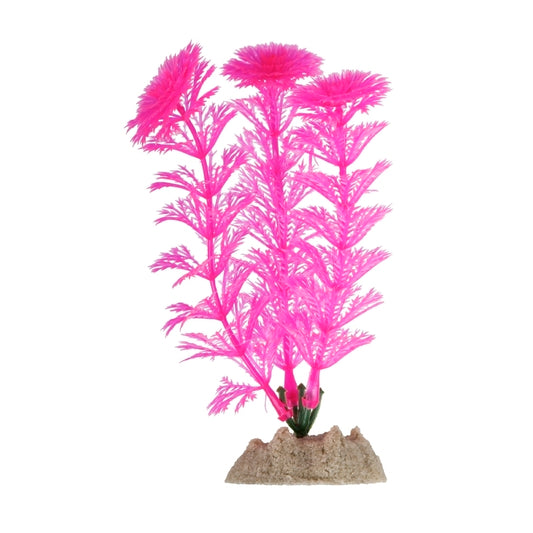 GloFish Plant Maliit na Pink