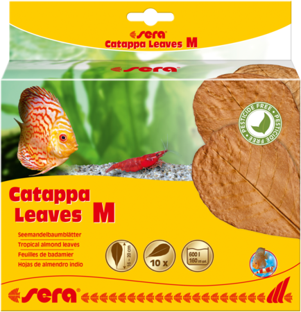 Sera Catappa Leaves 10pcs