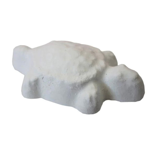 Versele Laga Turtle Calcium & Neutralizer Block