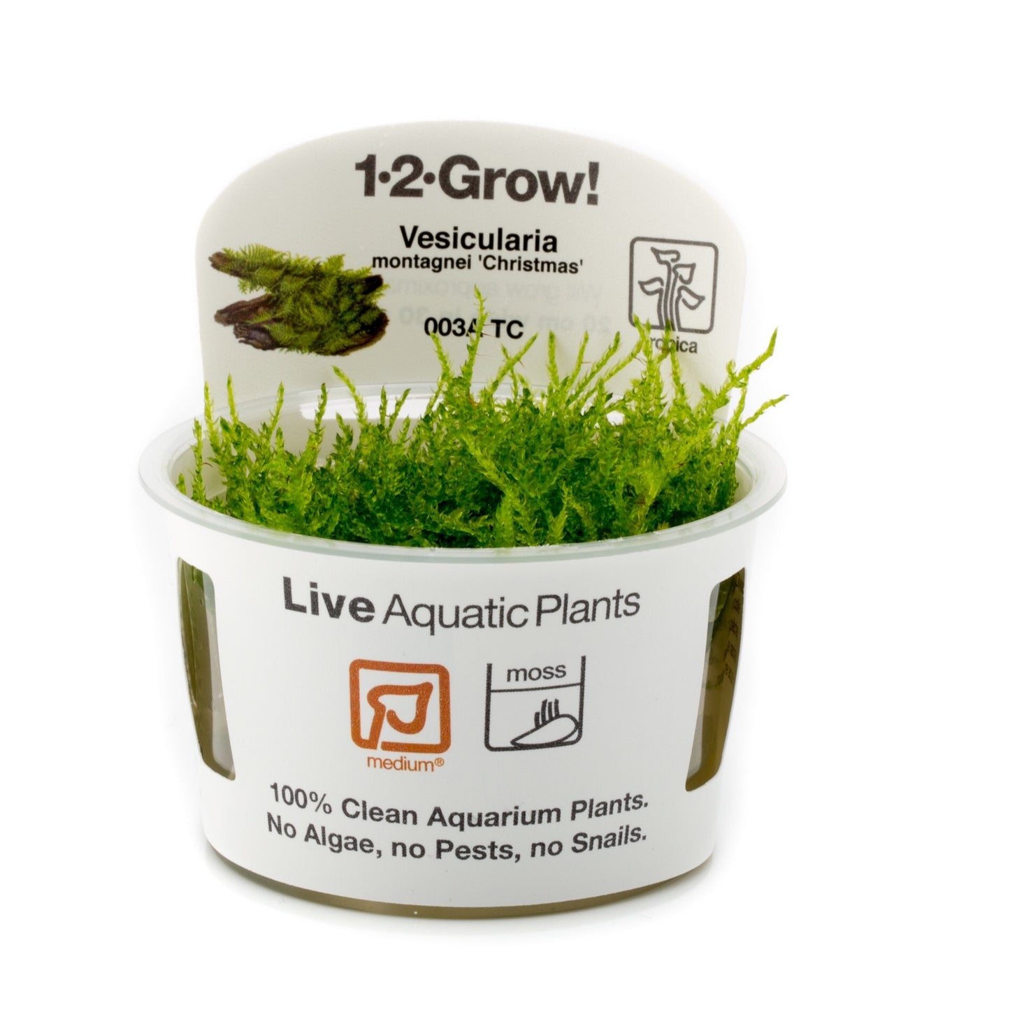 Tropica Vesicularia montagnei 'Christmas Moss' 1-2-Grow!
