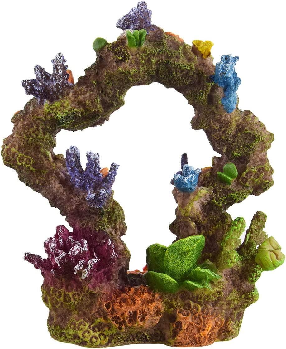 Underwater Treasures Reef Archway