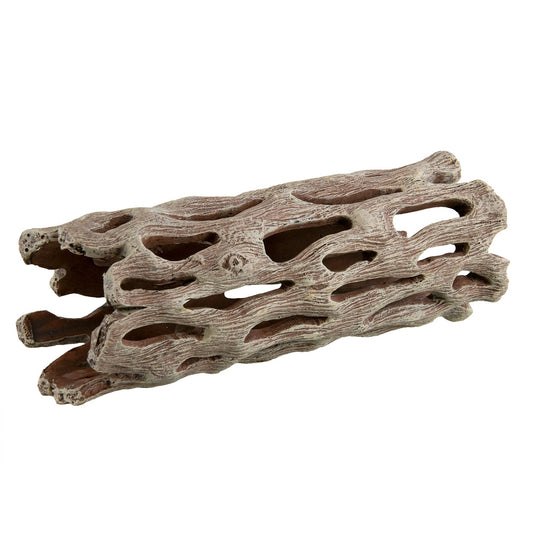 Underwater Treasures Cholla Wood