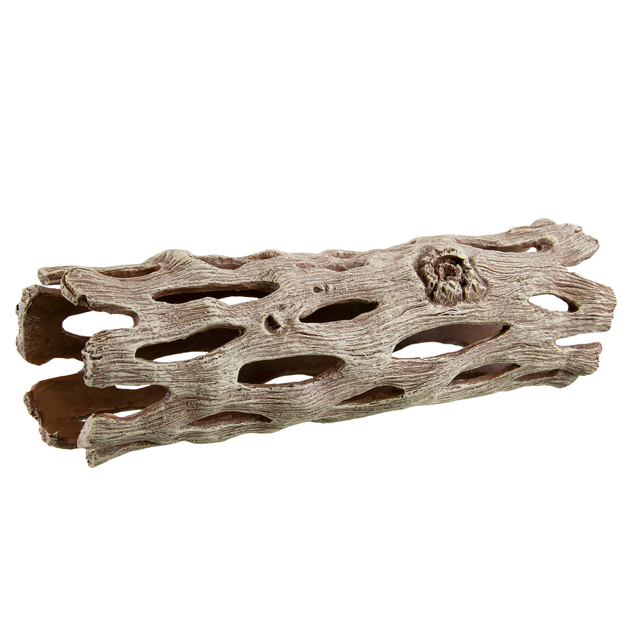 Underwater Treasures Cholla Wood