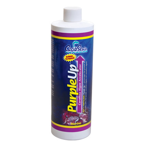 CaribSea PurpleUp