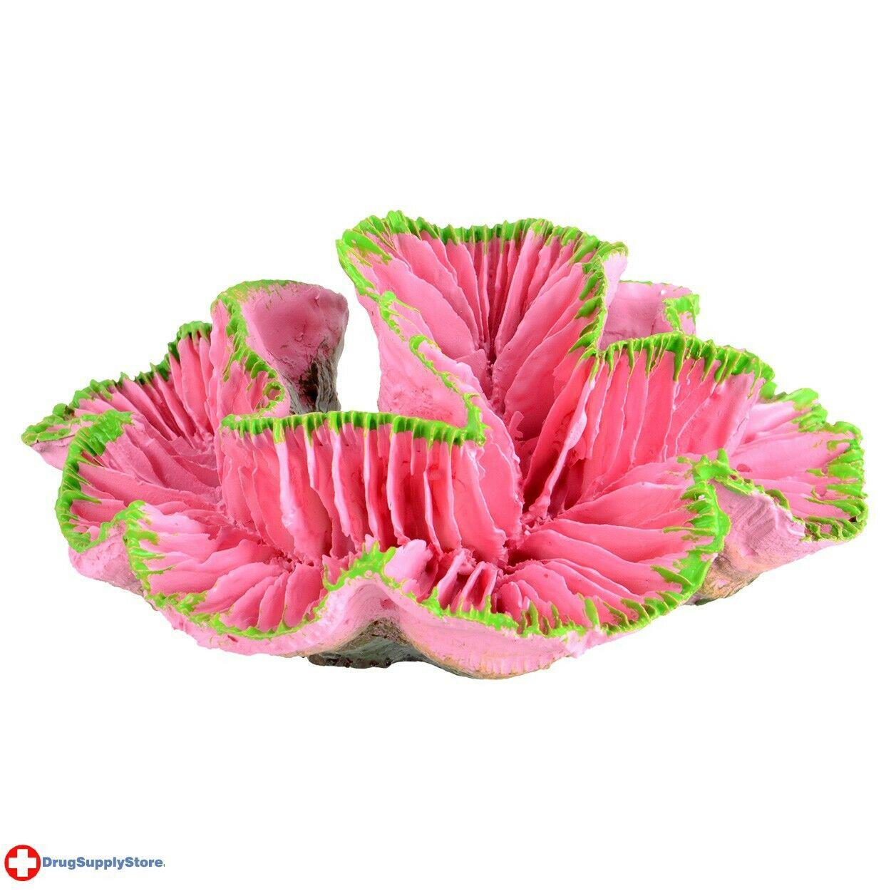Underwater Treasures Open Brain Coral - Pink