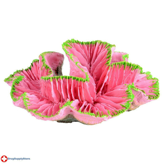 Underwater Treasures Open Brain Coral - Pink