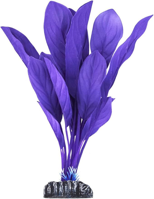 Underwater Treasures Anubias - Purple