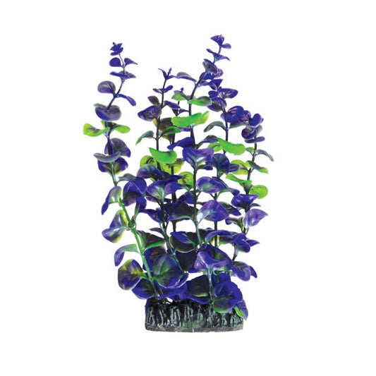 Underwater Treasures Purple Paradise - 8"