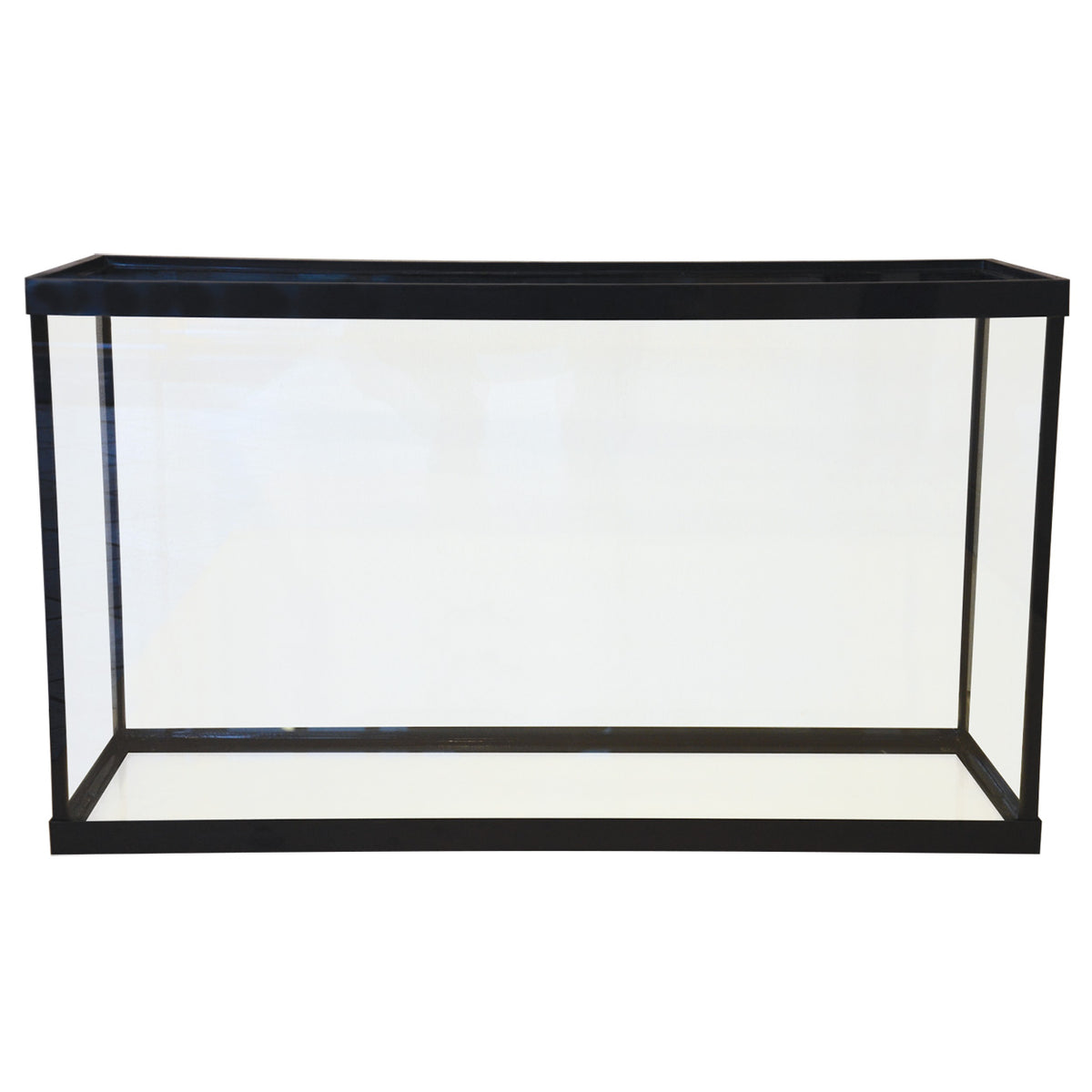 Seapora Standard Aquarium Black Trim Concrete Blonde Aquatics
