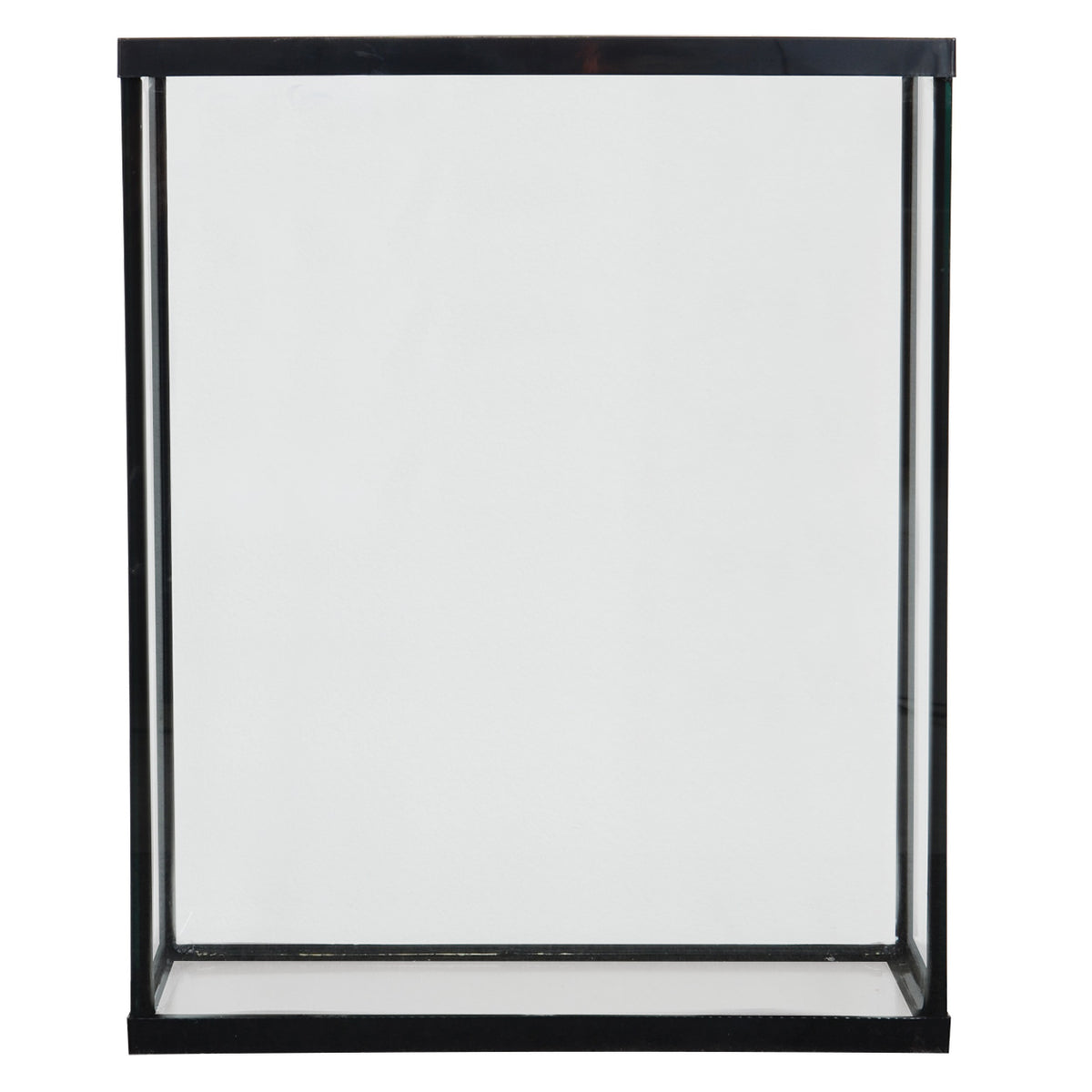 Seapora Standard Aquarium Black Trim Concrete Blonde Aquatics