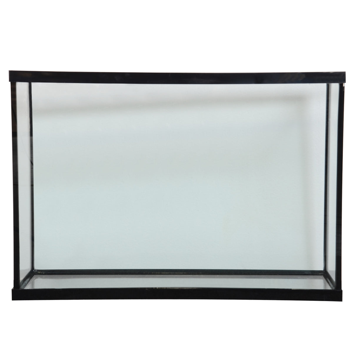 Seapora Standard Aquarium Black Trim Concrete Blonde Aquatics
