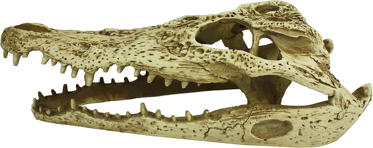 Komodo Alligator Skull Hideout - 9"