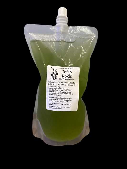 Live Phytoplanton mix 16oz bag