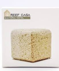 Reef Casa Bacteria Hotel