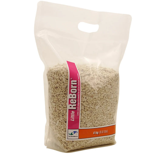 Two Little Fishies Little Reborn / aragonite media 8.8Lb