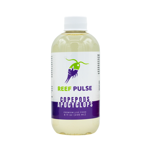 Apocyclops Live Copepods - Reef Pulse