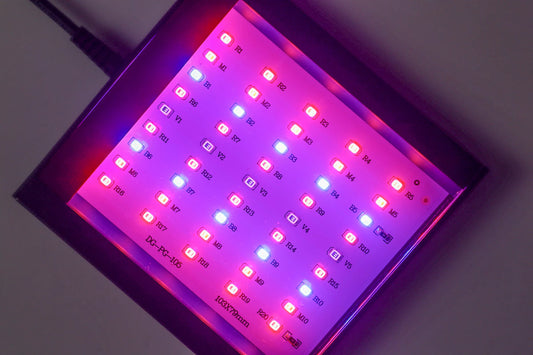 Reef Casa Nova Refugium LED