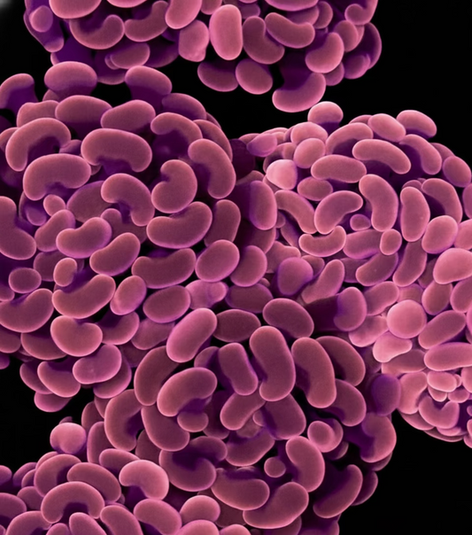 Rose Gold Branching Hammer