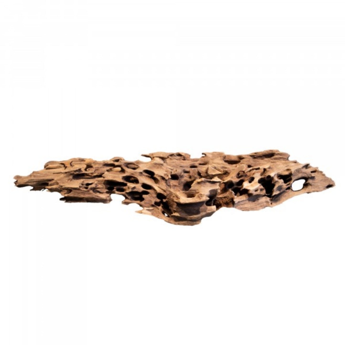 Shrimpwood