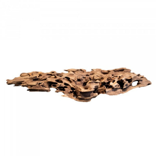 Shrimpwood