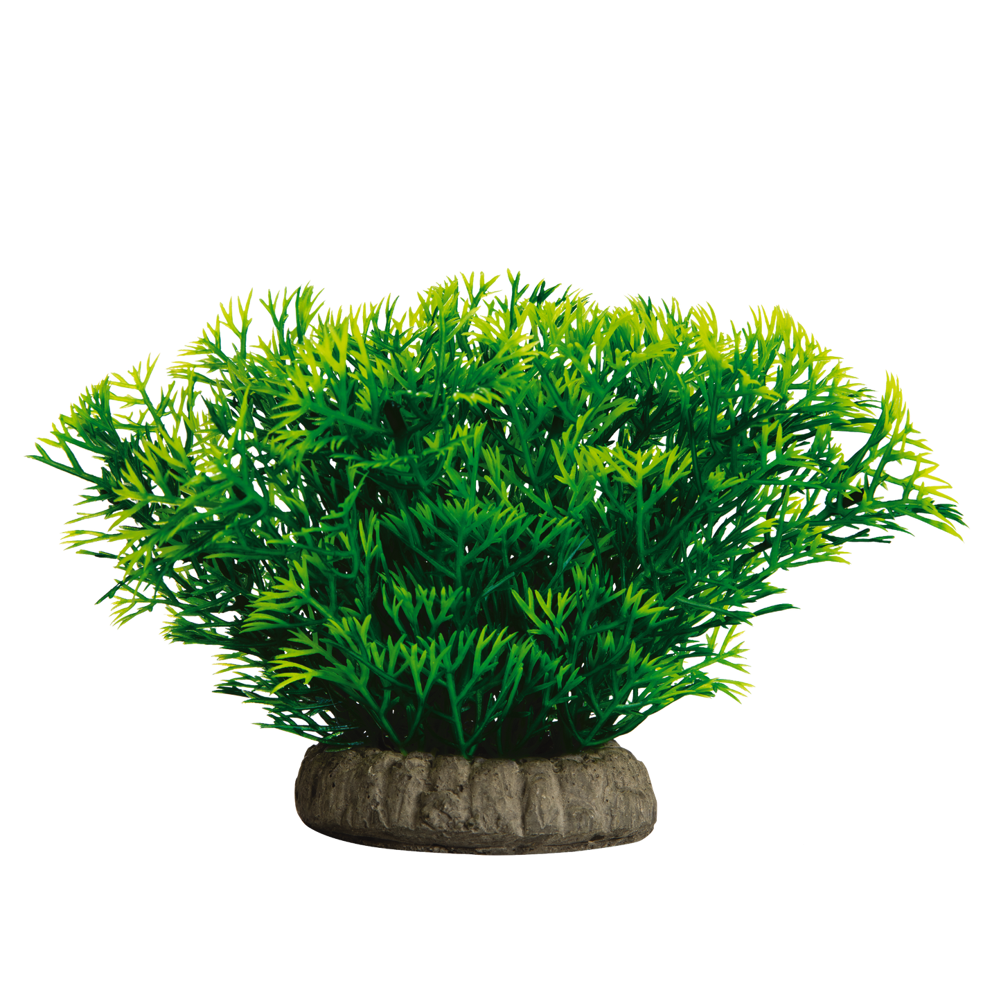 GloFish Ornament JavaMoss Distribupet
