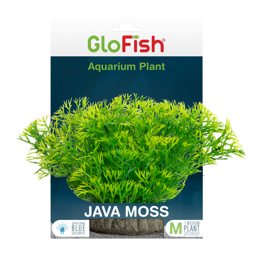GloFish Ornament JavaMoss Distribupet