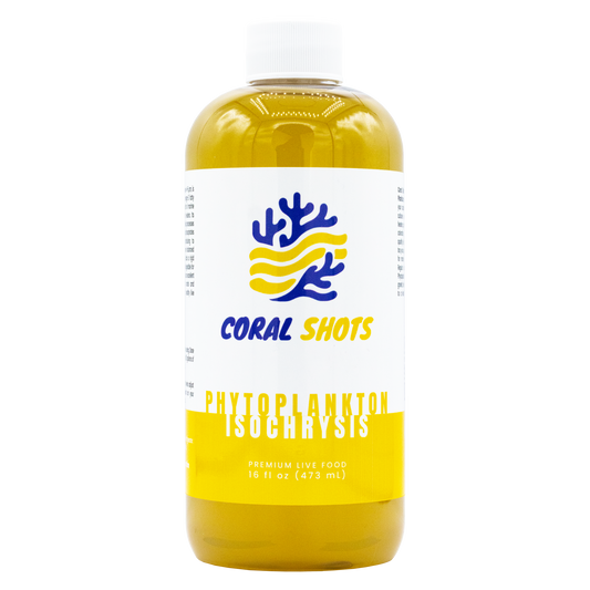 Isochrysis Live Phytoplankton - Coral Shots