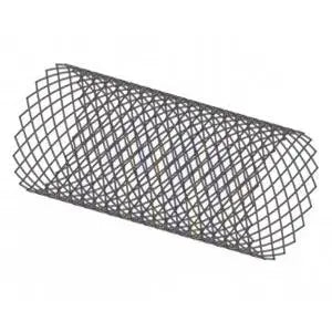 Red Sea Snail Guards reefwave