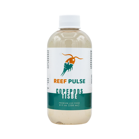 Tisbe Live Copepods - Reef Pulse