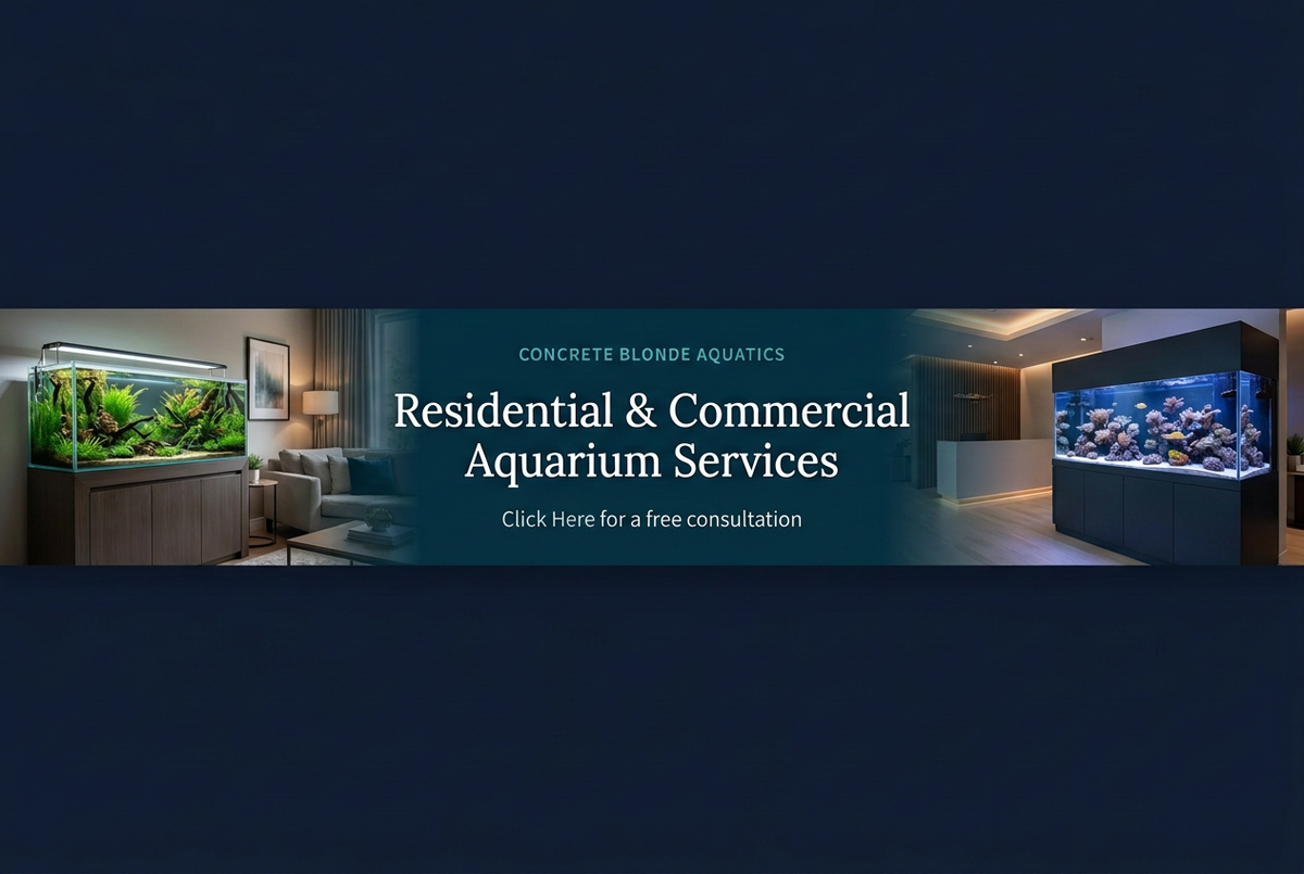 Aquarium services banner with Click Here for a free consultation