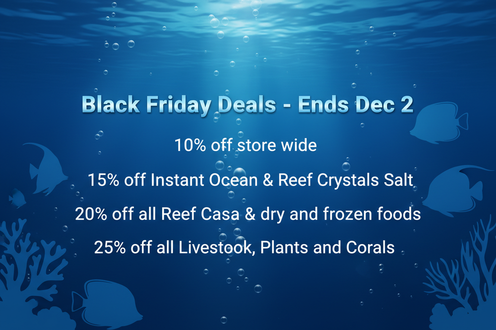 Black Friday Sale Banner