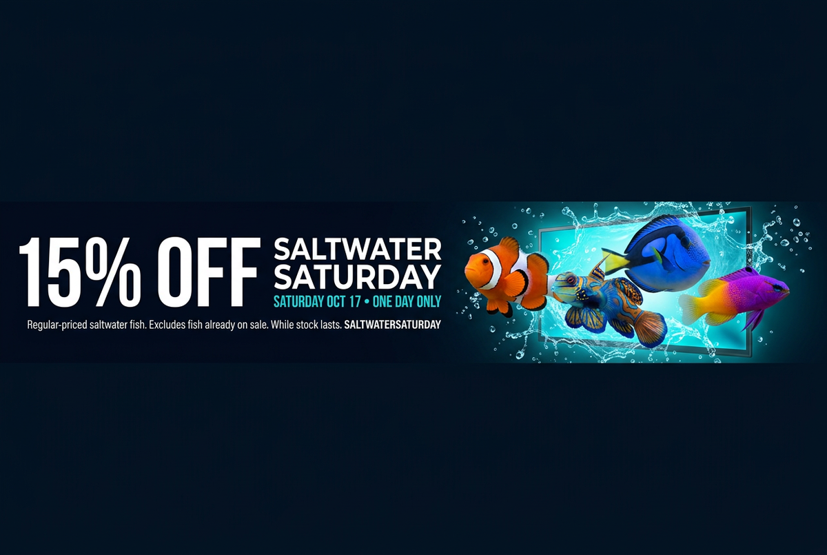 Compact Saltwater Saturday banner