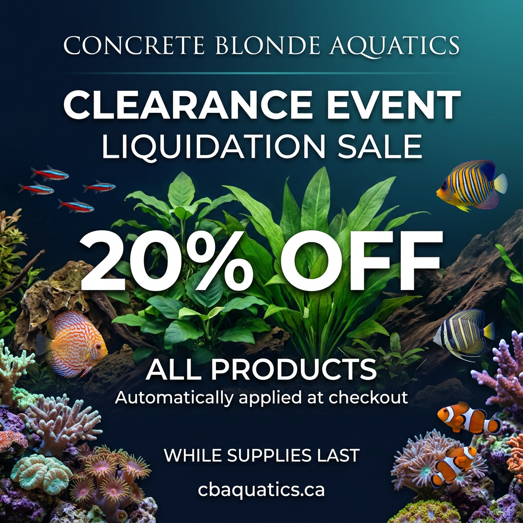 Concrete Blonde Aquatics clearance event sale graphic