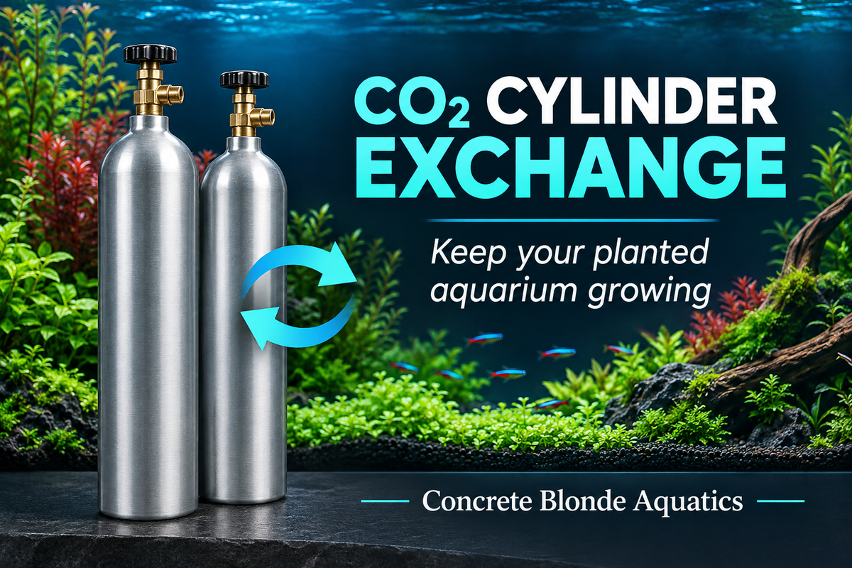Concrete Blonde Aquatics CO₂ cylinder exchange promotional image