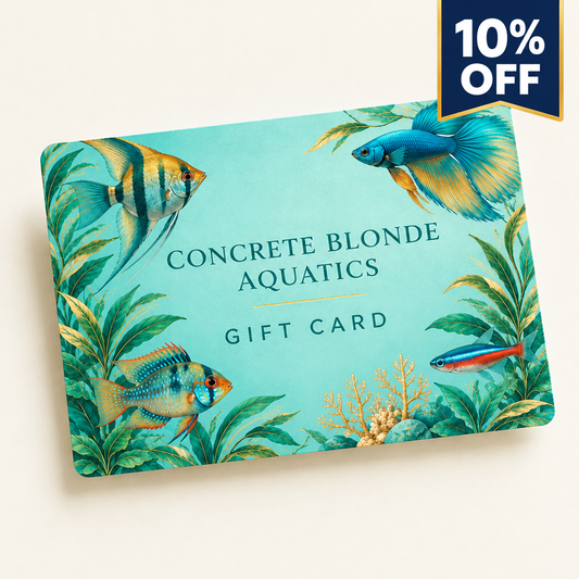Gift Card Concrete Blonde Aquatics