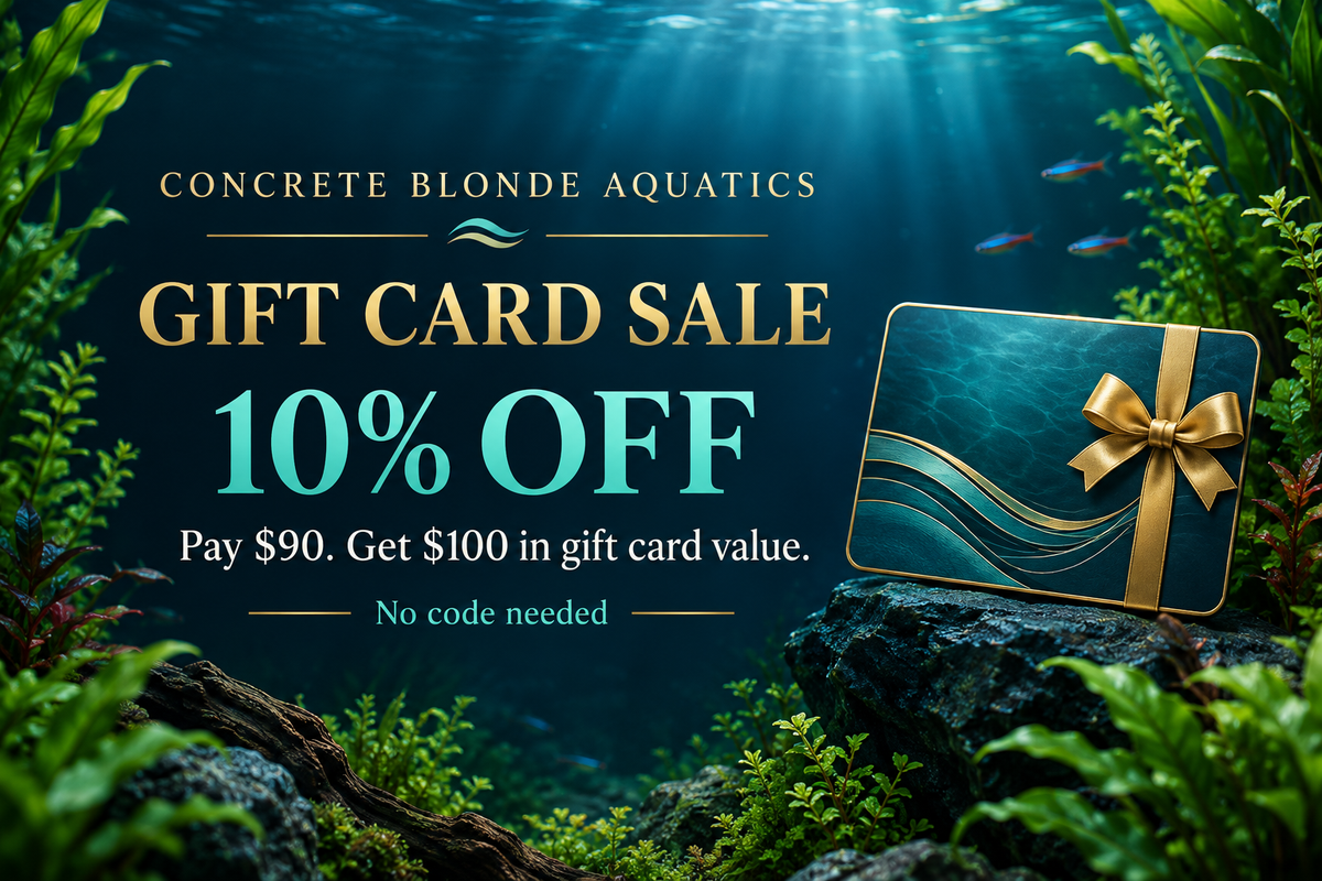 Gift card sale banner
